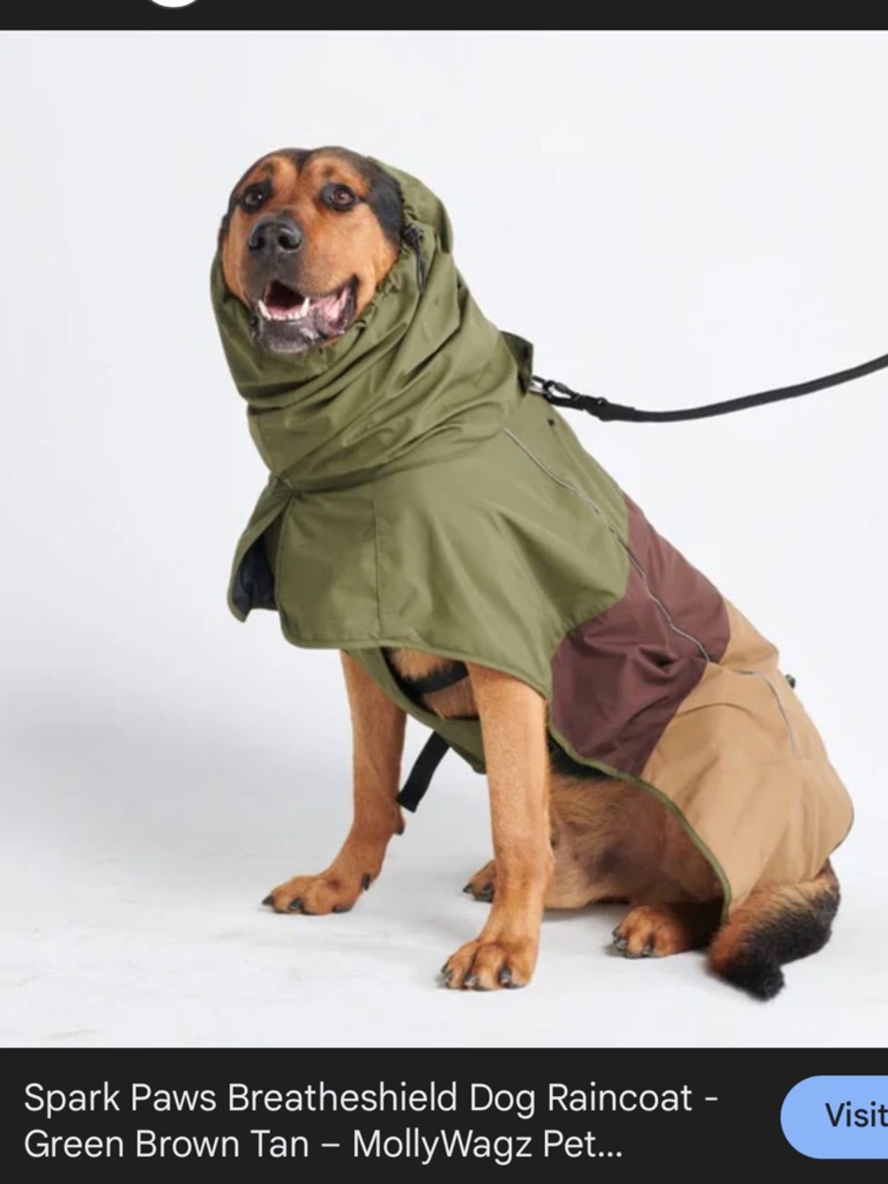 Spark Paws Tri-Color Dog Raincoat in Green, Brown & Tan